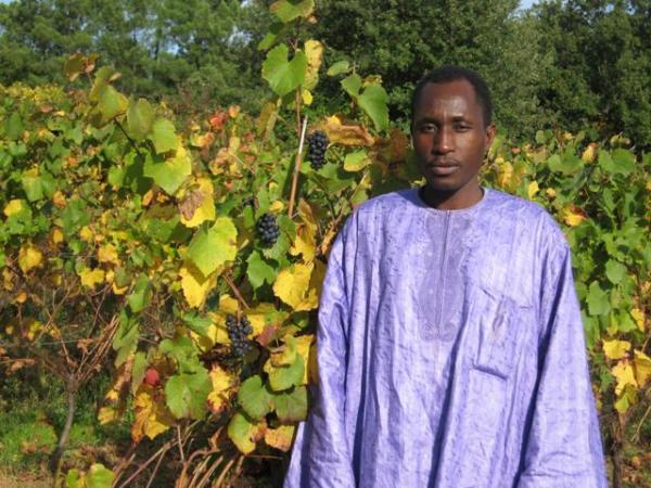 portait de Sani Elhadj  Magori